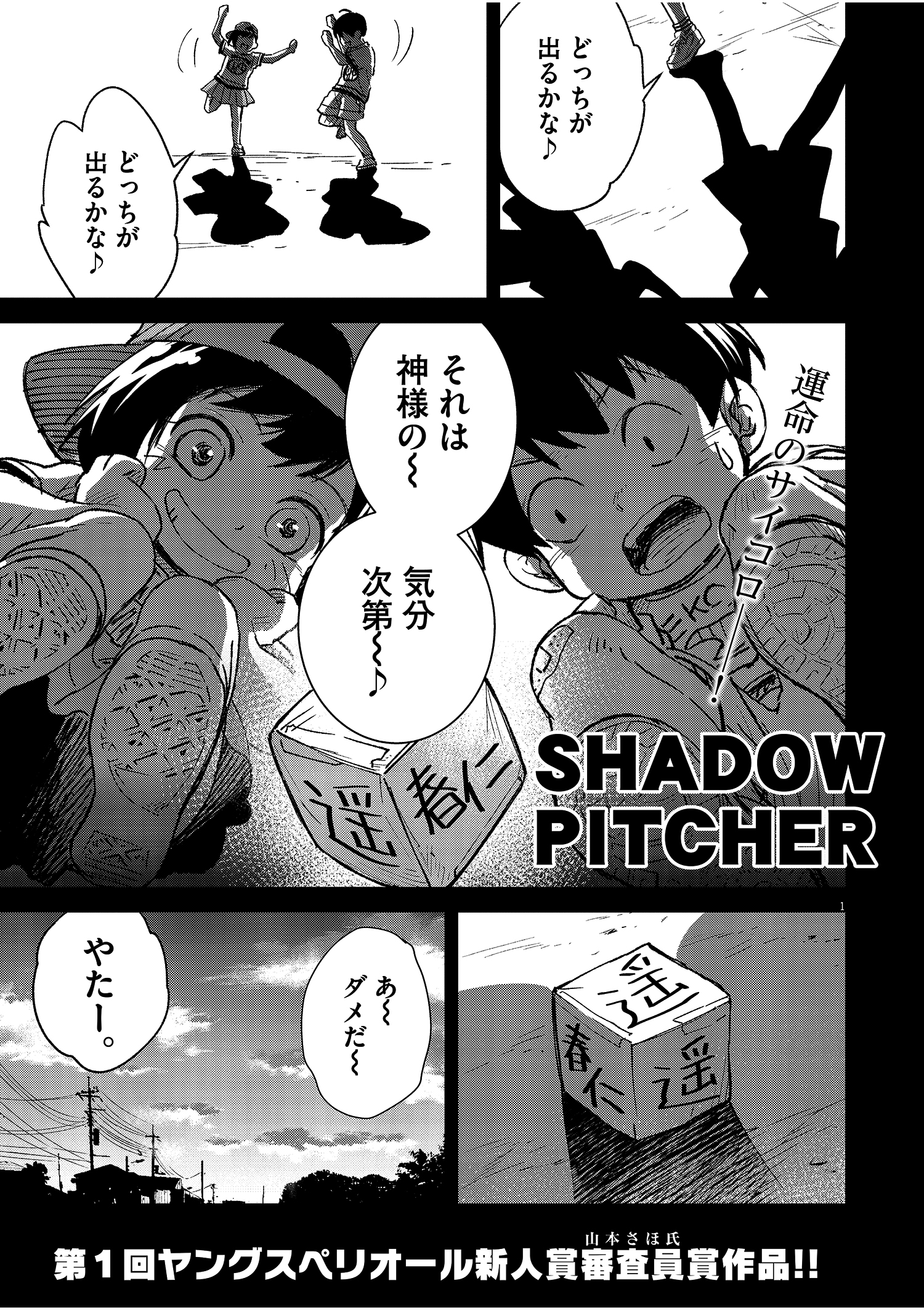 SHADOW PITCHER