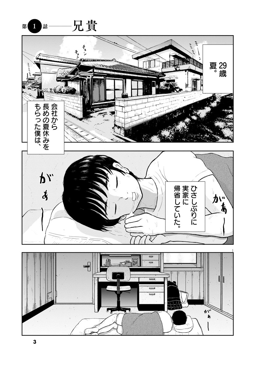 住みにごり(1)〜⑷ 美しい - その他